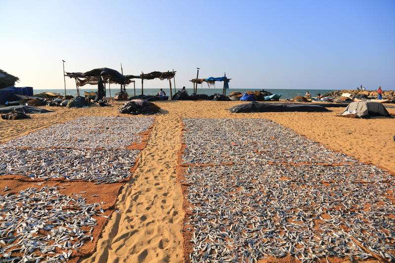 negombo (4)